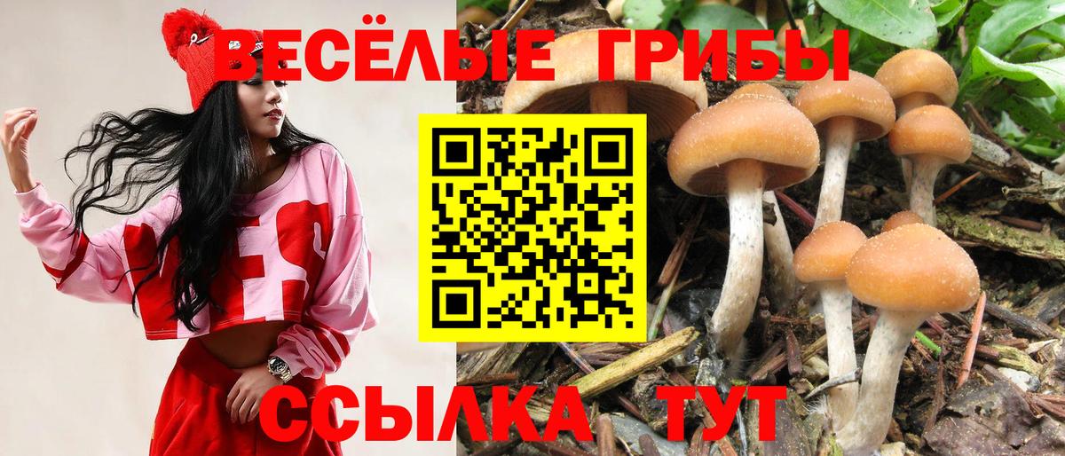 Галлюциногенные грибы ЛСД Гусиноозёрск
