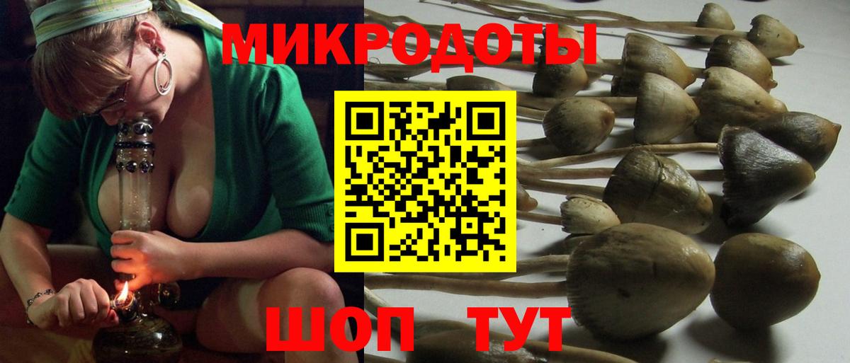 Гусиноозёрск  Псилоцибиновые грибы GOLDEN TEACHER  Вход с VPN 